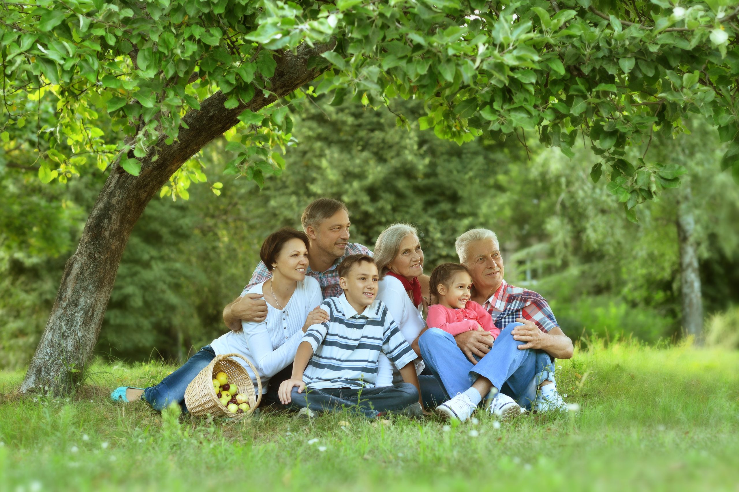 Family resting in summer park