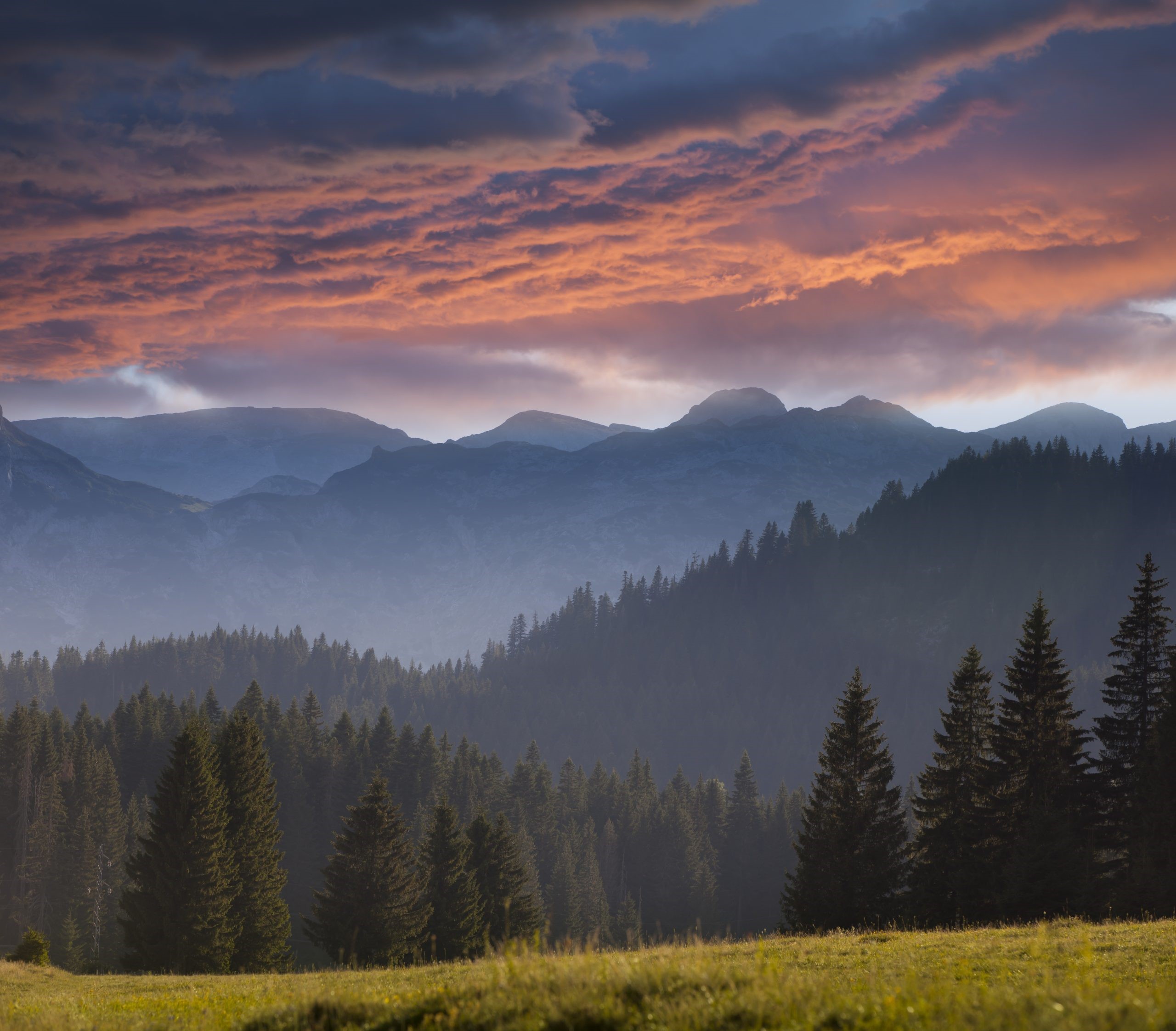 Robert A. Jonas - field, forest, mountain and clouds